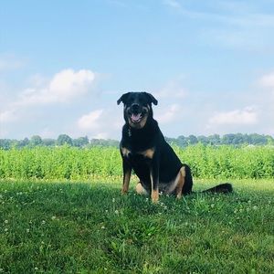 Meet your Posher, Sandy